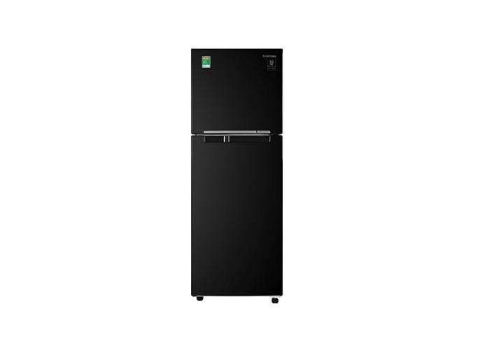Tủ lạnh Samsung 256 lít RT25M4032BU/SV