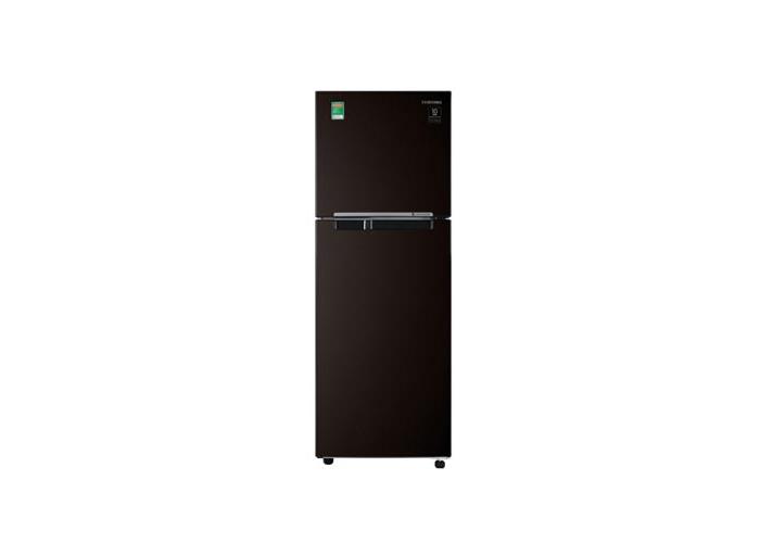 Tủ lạnh Samsung 236 lít RT22M4032BY/SV
